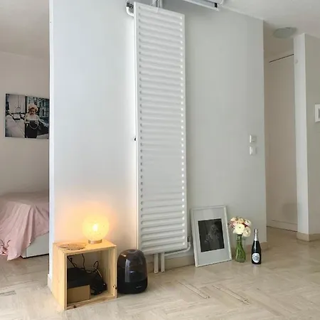 Lovely Cannes Marina Apartment